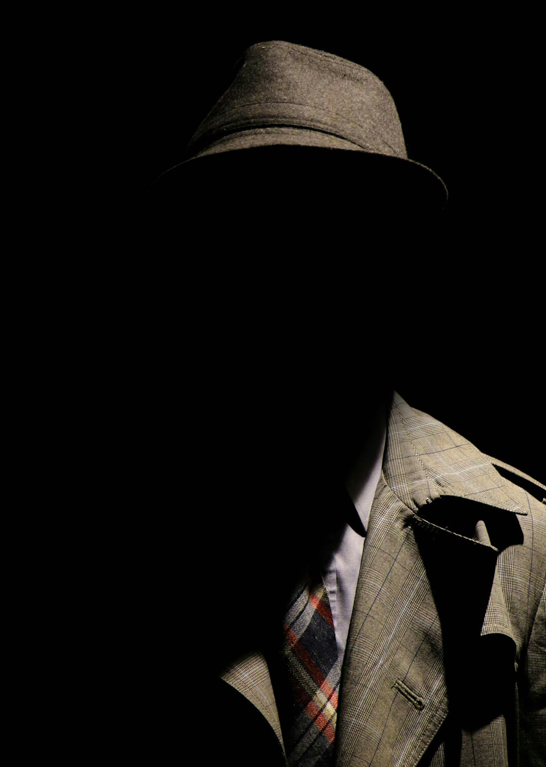 detective apprehending thief